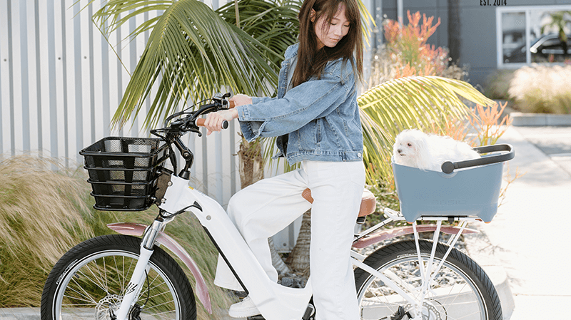 Tailor Your Ride: Explore MIK Accessories for EBC Bikes!