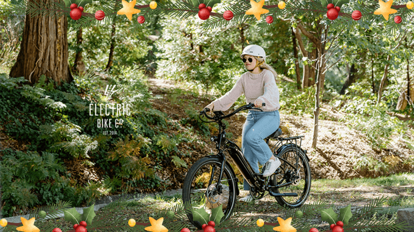 Santa's Gift: FREE DELIVERY Extended! Order by 12/31