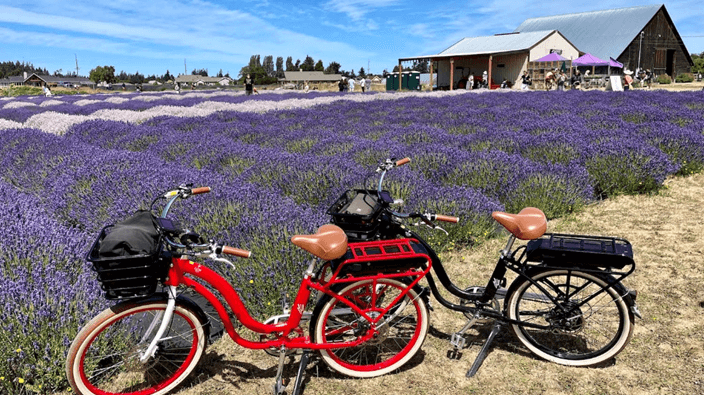 Meet Discover E-Bike: Your Electric Oasis from Port Angeles!