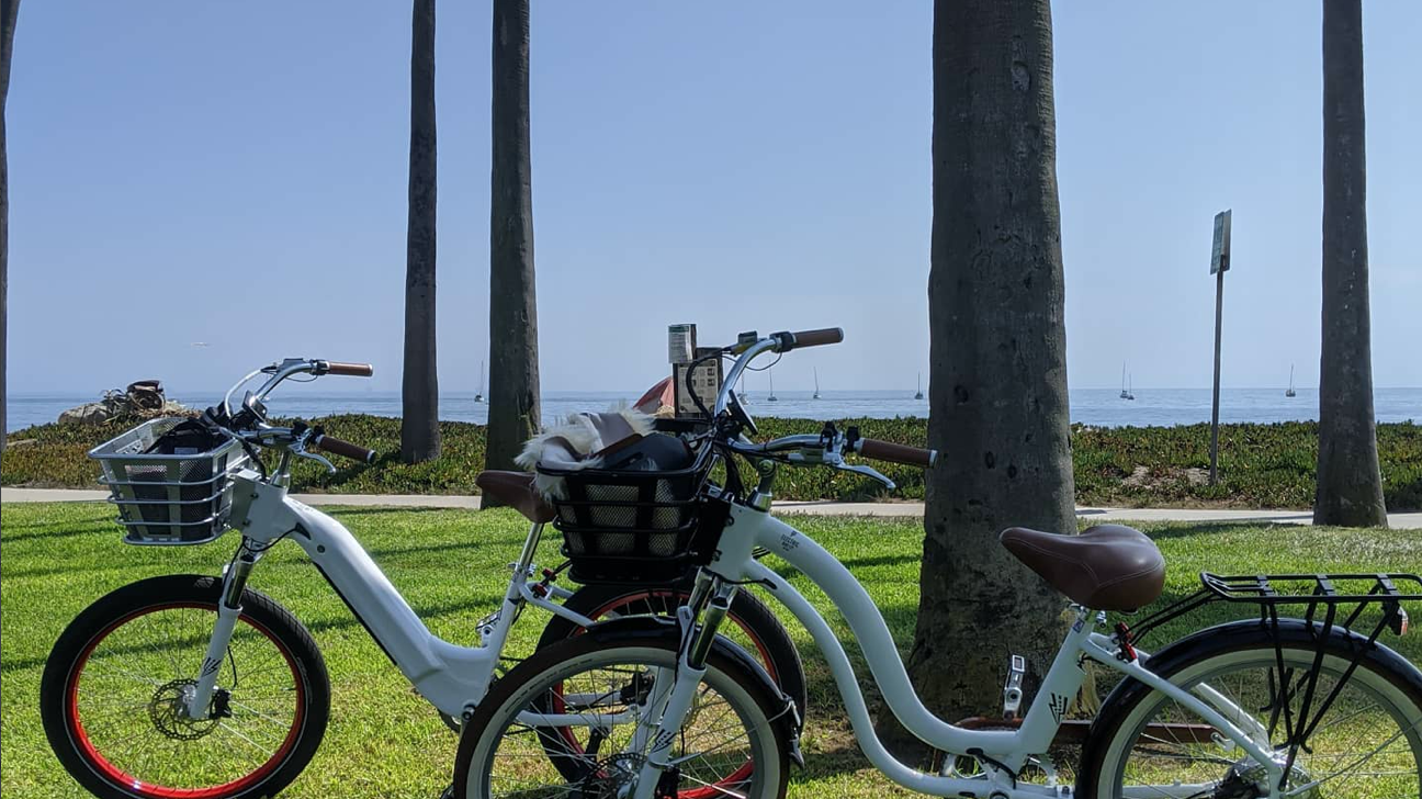 TOP 5 EBIKES: Review- The Electric Bike Co Model R