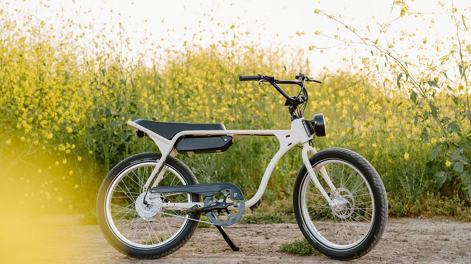Going Deeper: Investing in Electric Bike Company and the Micromobility Sector