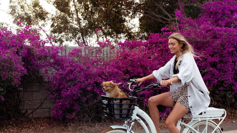 Your Adventure Guide