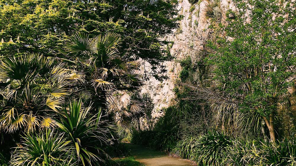 Earth Day Is Here…Let’s Explore!