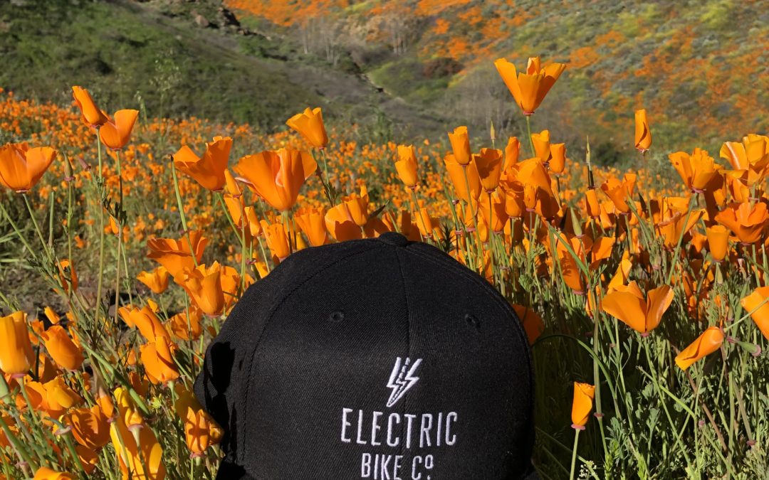 It's finally time to pull yourself &amp; take your ebike out of  hibernation after a long winter.