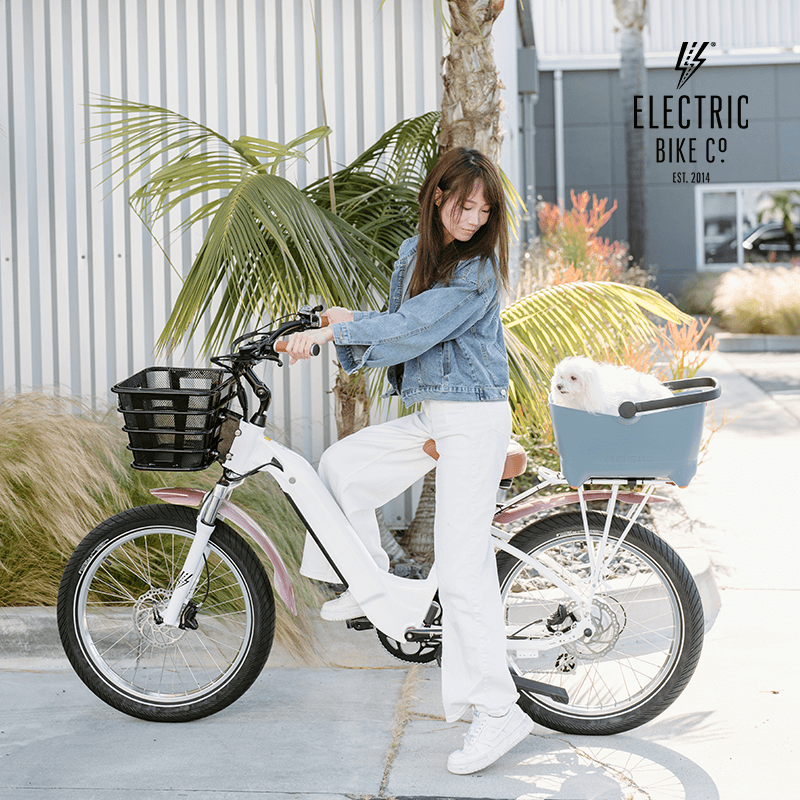 E-Bike Cruising with Your Furry Best Friend