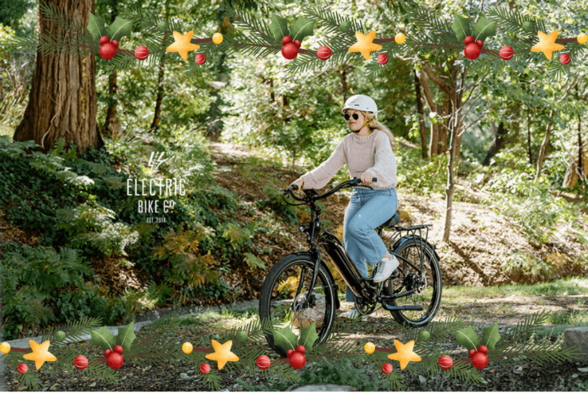 Santa's Gift: FREE DELIVERY Extended! Order by 12/31