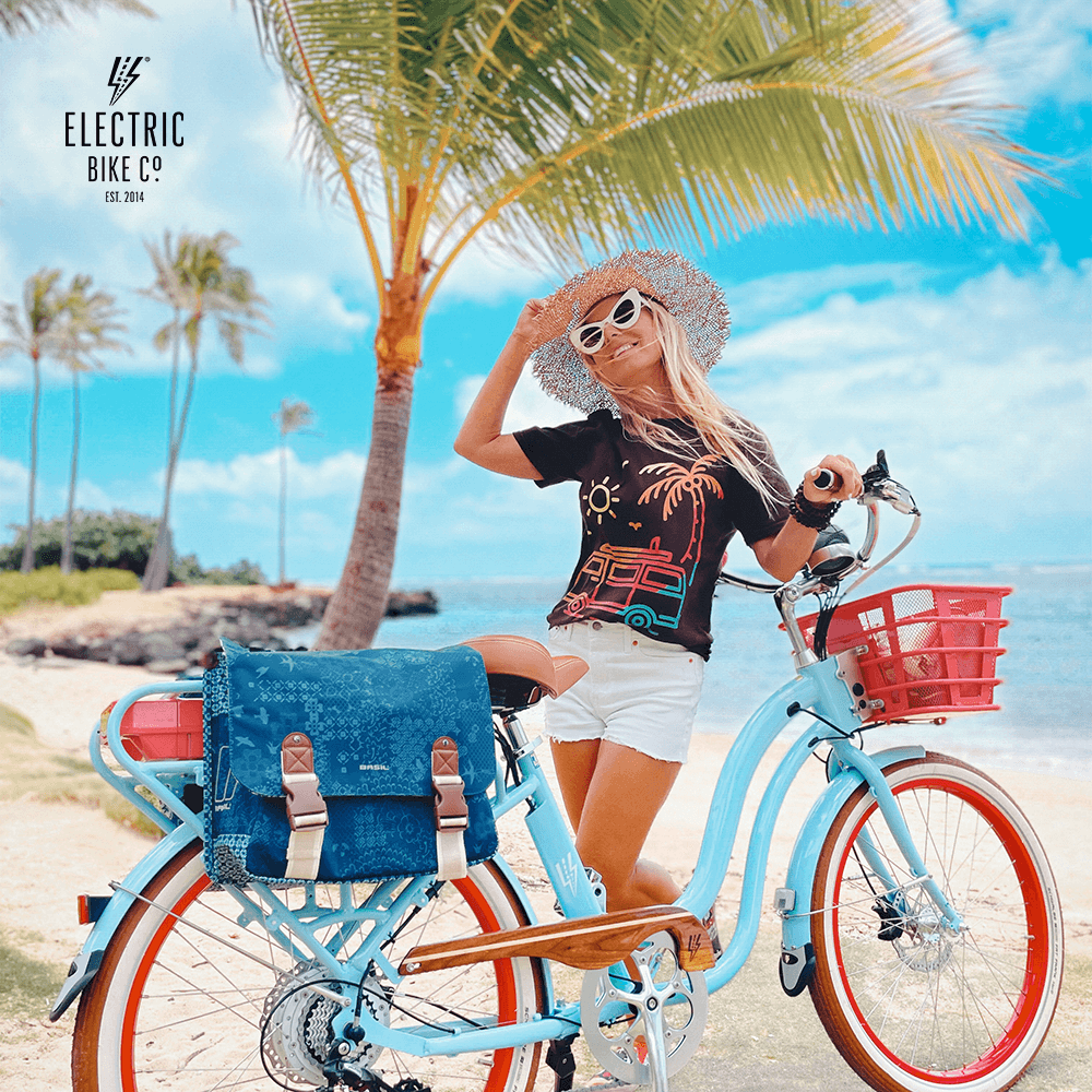 Basil Double Bags: The Secret Weapon for Effortless E-Bike Rides