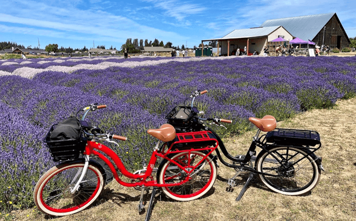 Meet Discover E-Bike: Your Electric Oasis from Port Angeles!