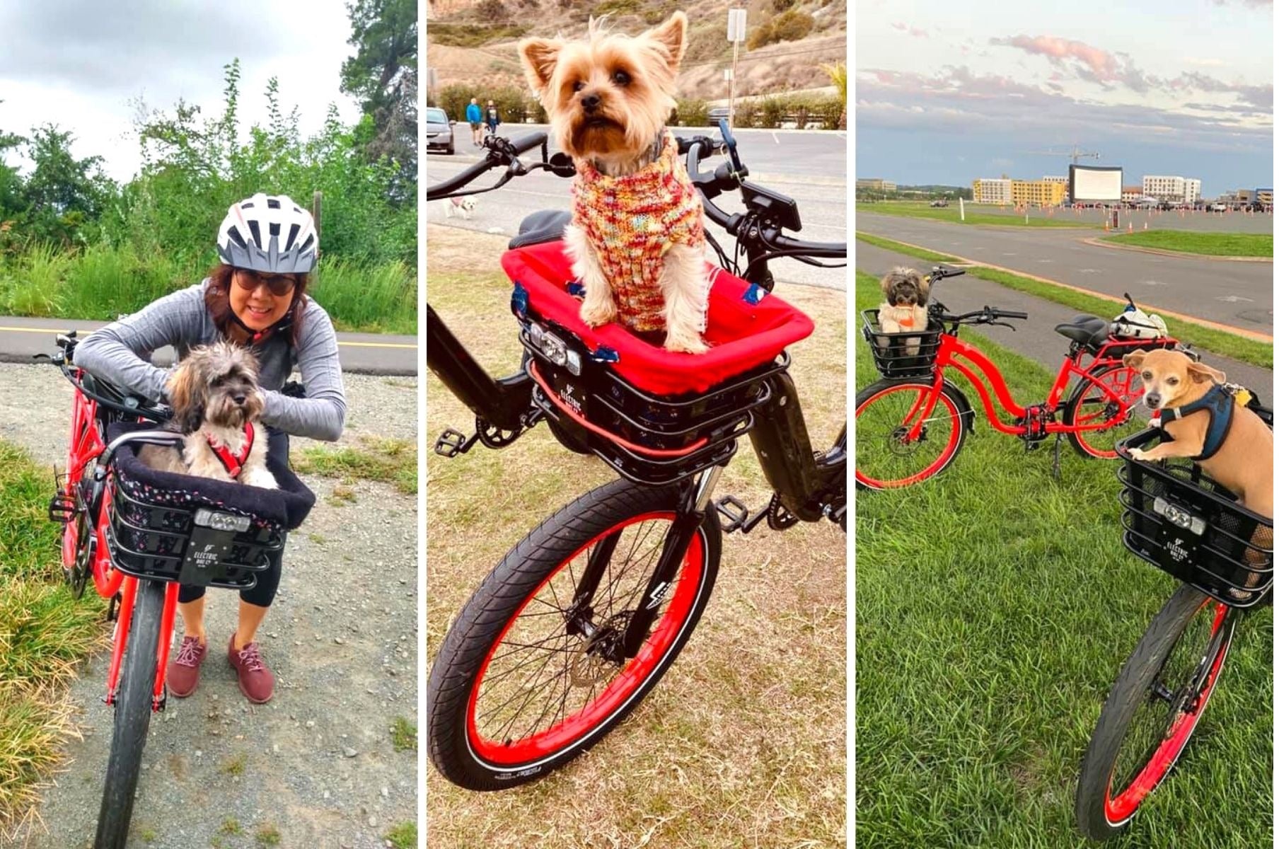 Take Your Buddy for a Ride!