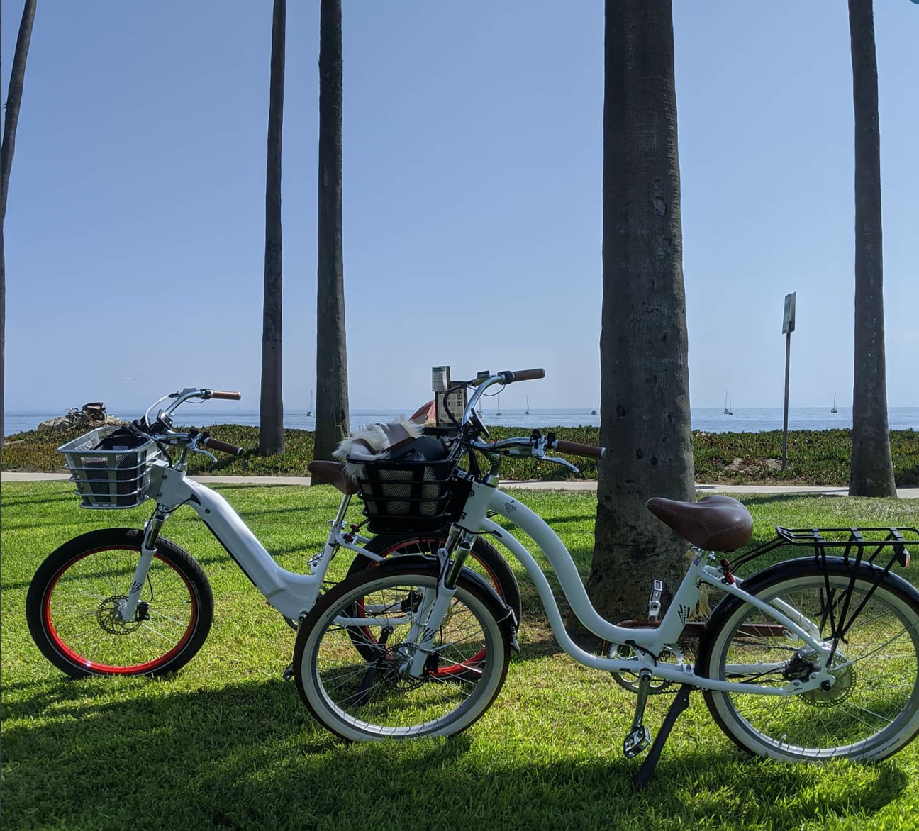 TOP 5 EBIKES: Review- The Electric Bike Co Model R