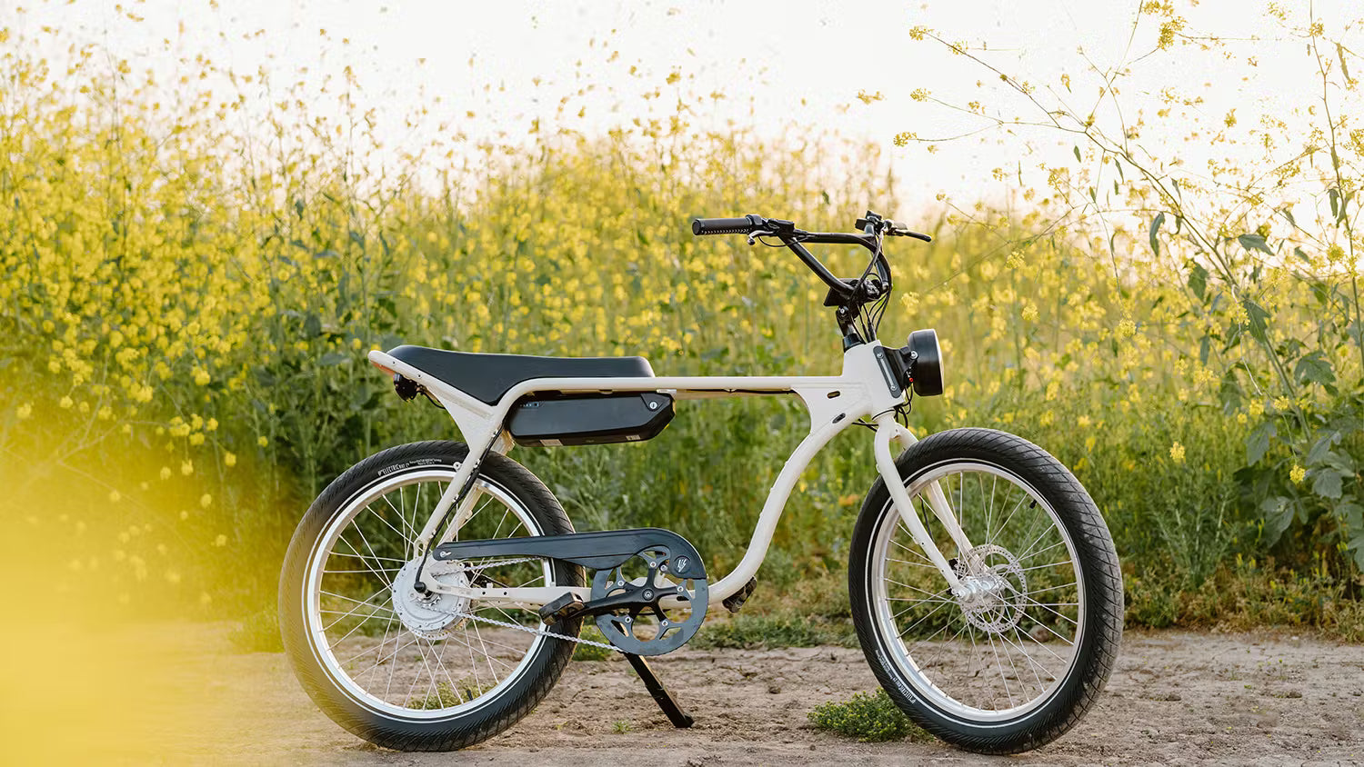 Going Deeper: Investing in Electric Bike Company and the Micromobility Sector