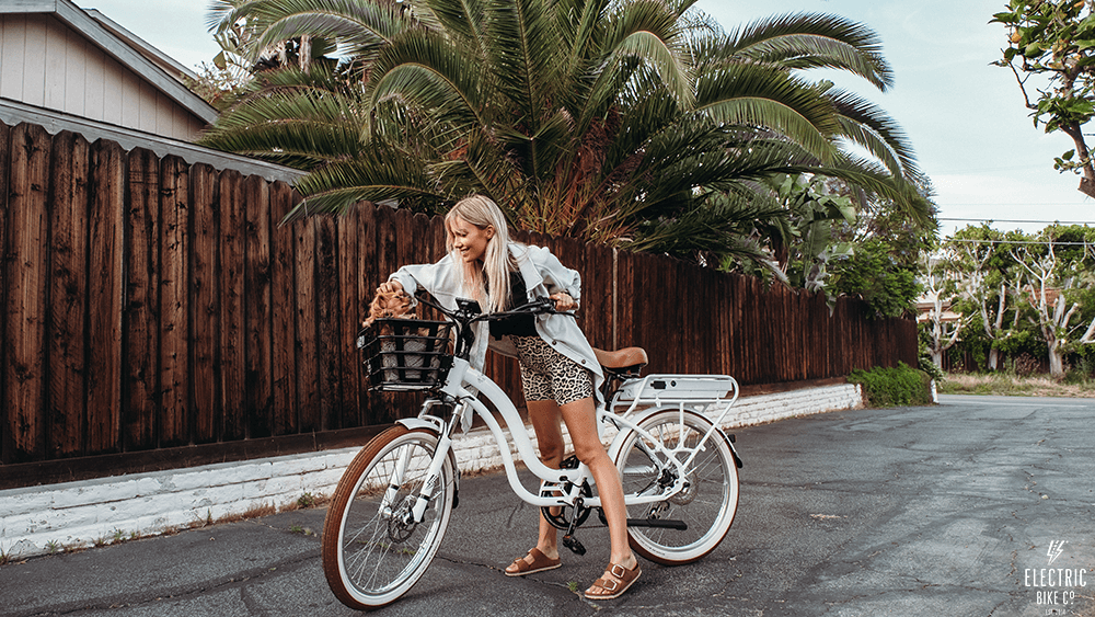 Ride into 2025: New Year with Exciting Upgrades!