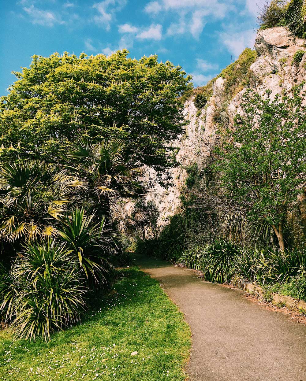 Earth Day Is Here…Let’s Explore!